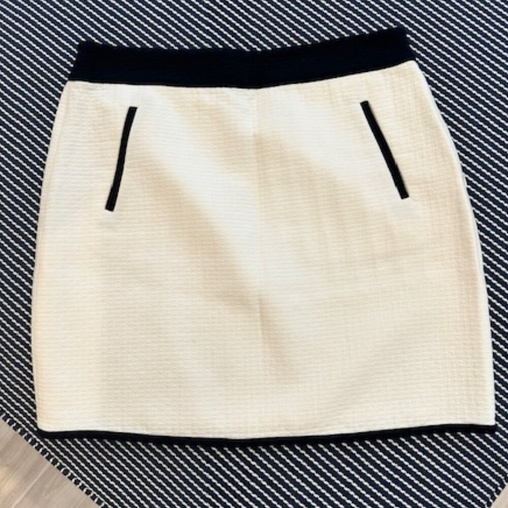 Ann Taylor Skirt